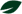 Icon verde